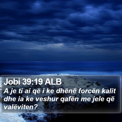 Jobi 39:19 ALB Bible Verse Image