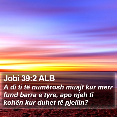 Jobi 39:2 ALB Bible Verse Image