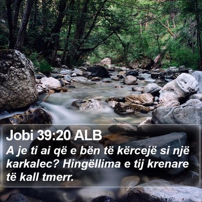 Jobi 39:20 ALB Bible Verse Image