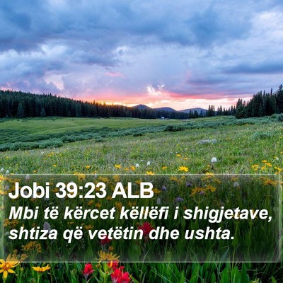 Jobi 39:23 ALB Bible Verse Image