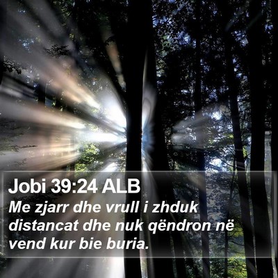 Jobi 39:24 ALB Bible Verse Image