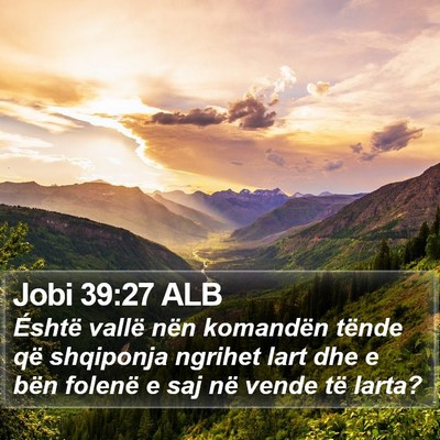 Jobi 39:27 ALB Bible Verse Image