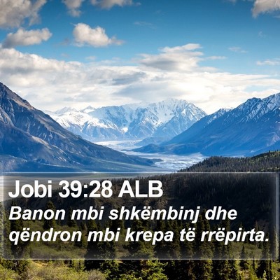 Jobi 39:28 ALB Bible Verse Image
