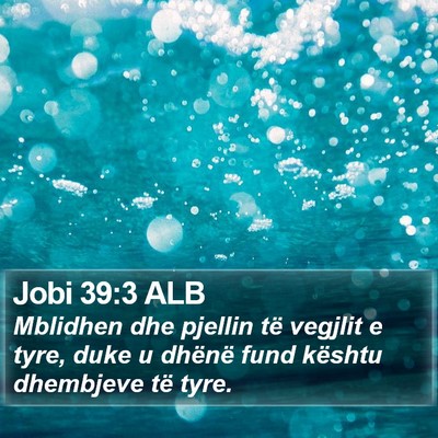 Jobi 39:3 ALB Bible Verse Image
