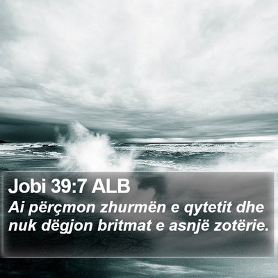 Jobi 39:7 ALB Bible Verse Image