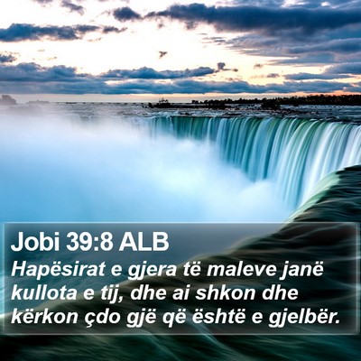 Jobi 39:8 ALB Bible Verse Image