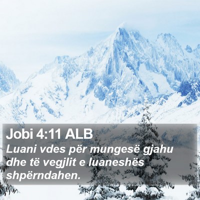 Jobi 4:11 ALB Bible Verse Image