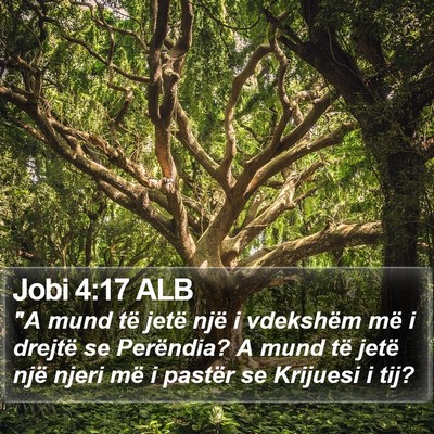 Jobi 4:17 ALB Bible Verse Image