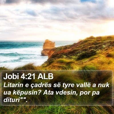 Jobi 4:21 ALB Bible Verse Image
