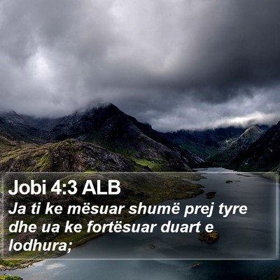 Jobi 4:3 ALB Bible Verse Image