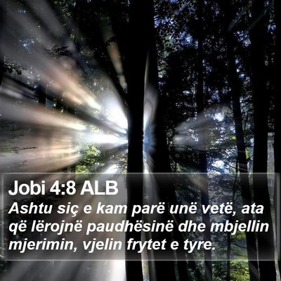 Jobi 4:8 ALB Bible Verse Image