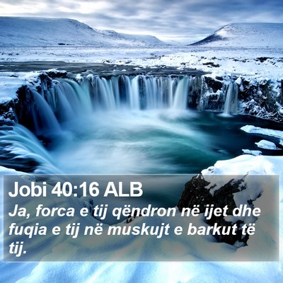 Jobi 40:16 ALB Bible Verse Image
