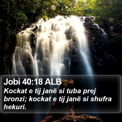 Jobi 40:18 ALB Bible Verse Image
