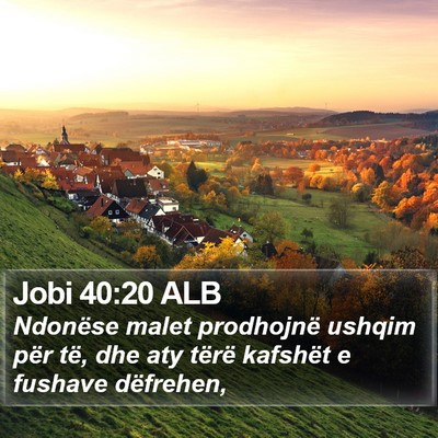 Jobi 40:20 ALB Bible Verse Image