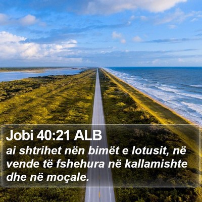 Jobi 40:21 ALB Bible Verse Image
