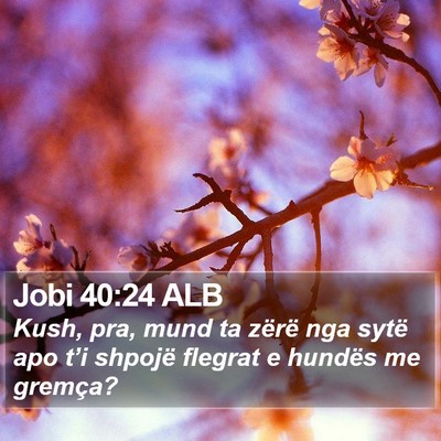 Jobi 40:24 ALB Bible Verse Image