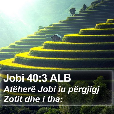 Jobi 40:3 ALB Bible Verse Image