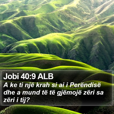 Jobi 40:9 ALB Bible Verse Image