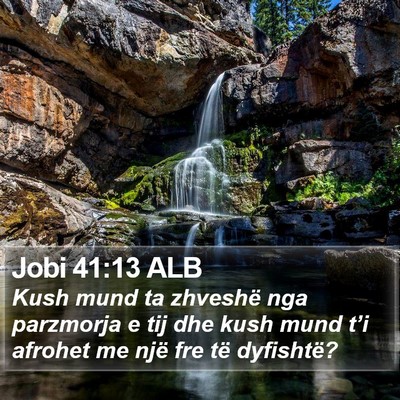 Jobi 41:13 ALB Bible Verse Image