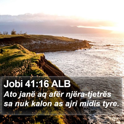 Jobi 41:16 ALB Bible Verse Image