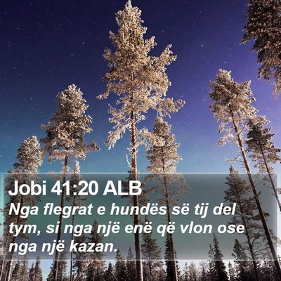 Jobi 41:20 ALB Bible Verse Image