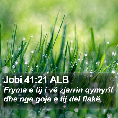 Jobi 41:21 ALB Bible Verse Image