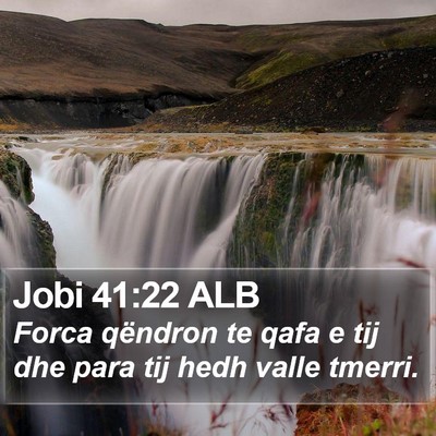 Jobi 41:22 ALB Bible Verse Image