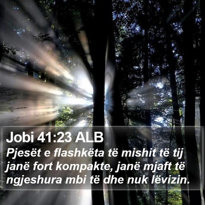 Jobi 41:23 ALB Bible Verse Image