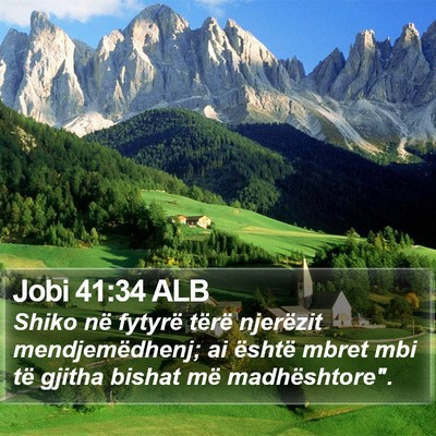 Jobi 41:34 ALB Bible Verse Image