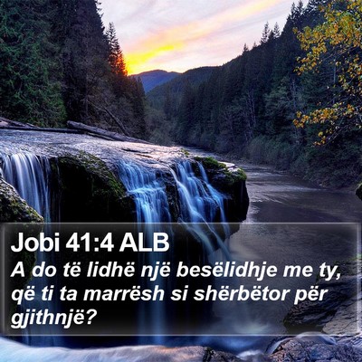 Jobi 41:4 ALB Bible Verse Image