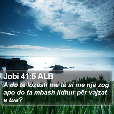 Jobi 41:5 ALB Bible Verse Image