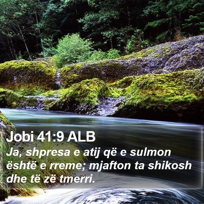 Jobi 41:9 ALB Bible Verse Image