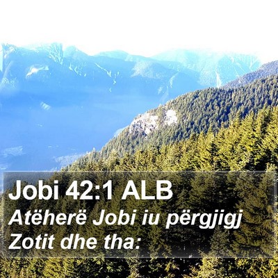 Jobi 42:1 ALB Bible Verse Image