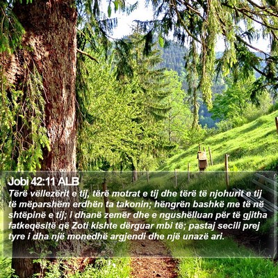 Jobi 42:11 ALB Bible Verse Image