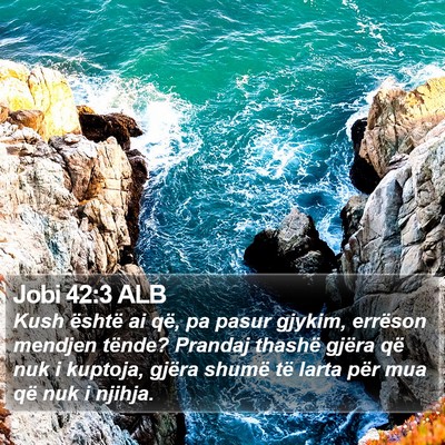 Jobi 42:3 ALB Bible Verse Image