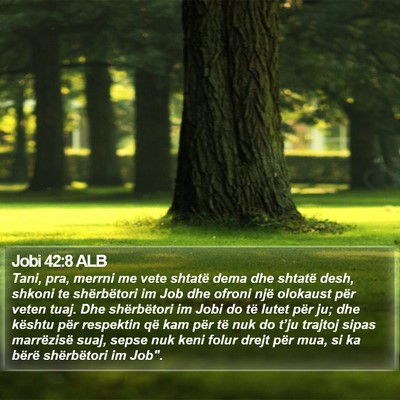 Jobi 42:8 ALB Bible Verse Image