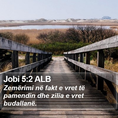Jobi 5:2 ALB Bible Verse Image