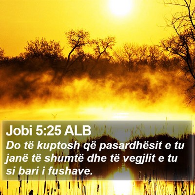 Jobi 5:25 ALB Bible Verse Image