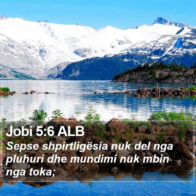 Jobi 5:6 ALB Bible Verse Image