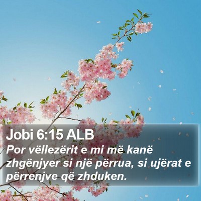 Jobi 6:15 ALB Bible Verse Image