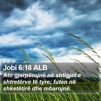 Jobi 6:18 ALB Bible Verse Image