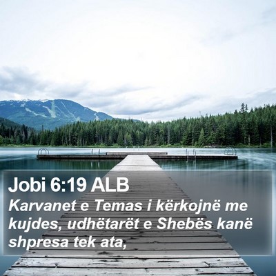 Jobi 6:19 ALB Bible Verse Image