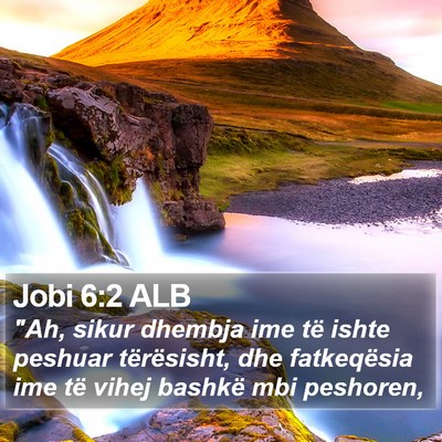 Jobi 6:2 ALB Bible Verse Image