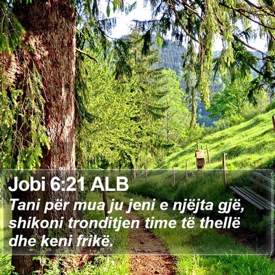 Jobi 6:21 ALB Bible Verse Image