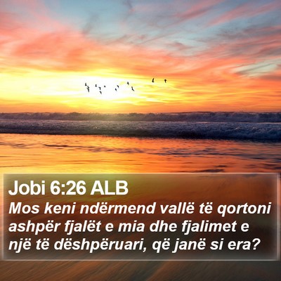 Jobi 6:26 ALB Bible Verse Image
