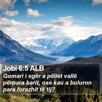 Jobi 6:5 ALB Bible Verse Image