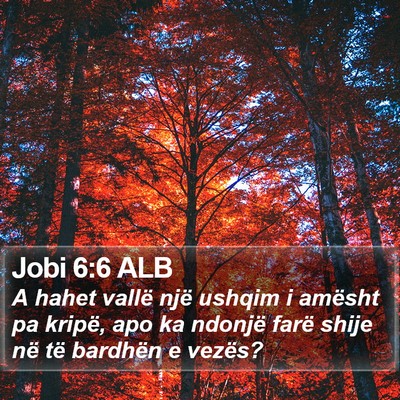 Jobi 6:6 ALB Bible Verse Image