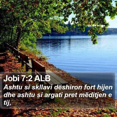 Jobi 7:2 ALB Bible Verse Image