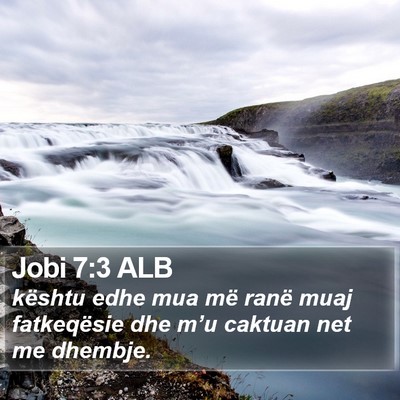 Jobi 7:3 ALB Bible Verse Image