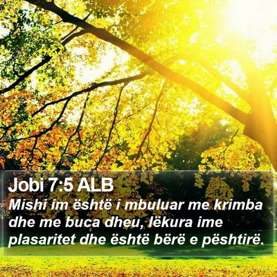 Jobi 7:5 ALB Bible Verse Image